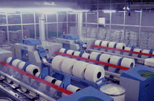 拉幅定(dìng)型機 拉幅(fú)定型機